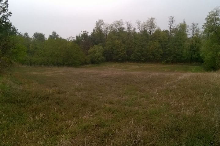 emozioni dal bosco boschi del Monferrato
