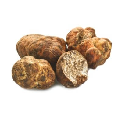 tartufaio per un giornotartufo bianco